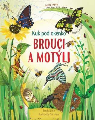 Kuk pod okénko - Brouci a motýli