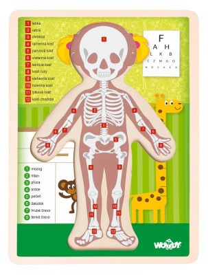 Puzzle "Lidské tělo" - Holka SK