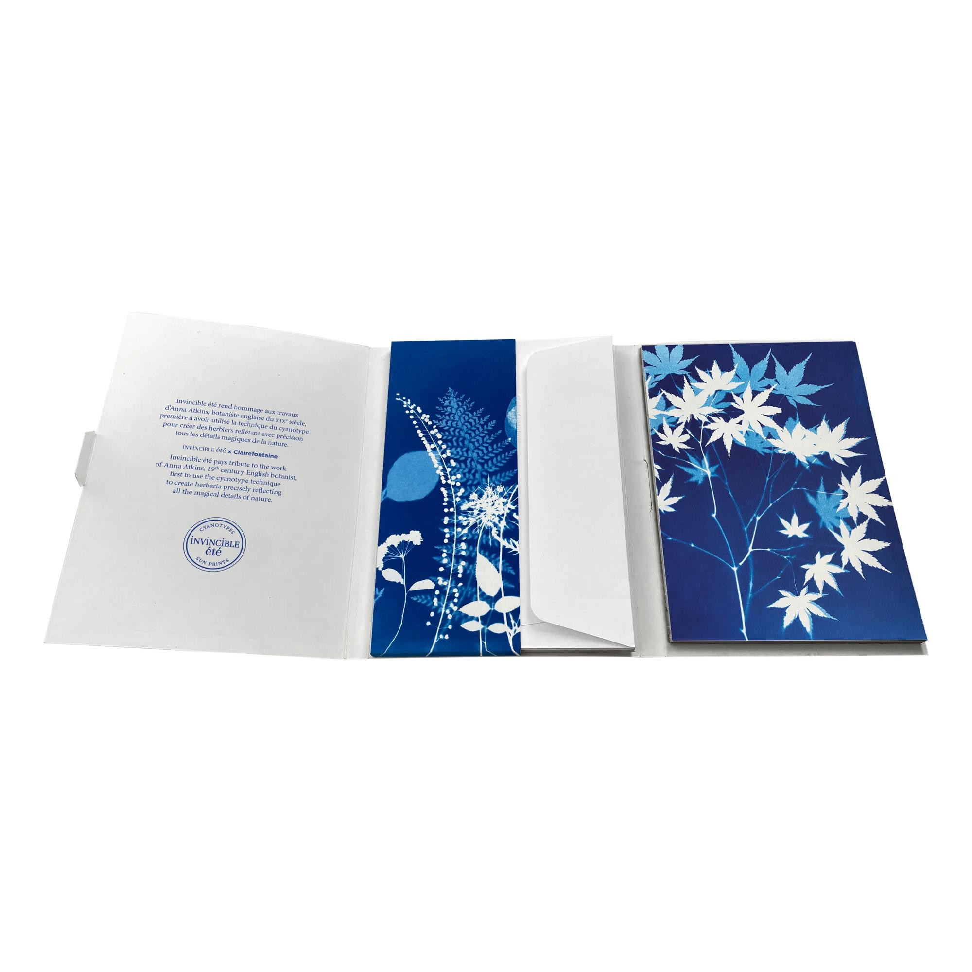 Dopisní sada Cyanotype