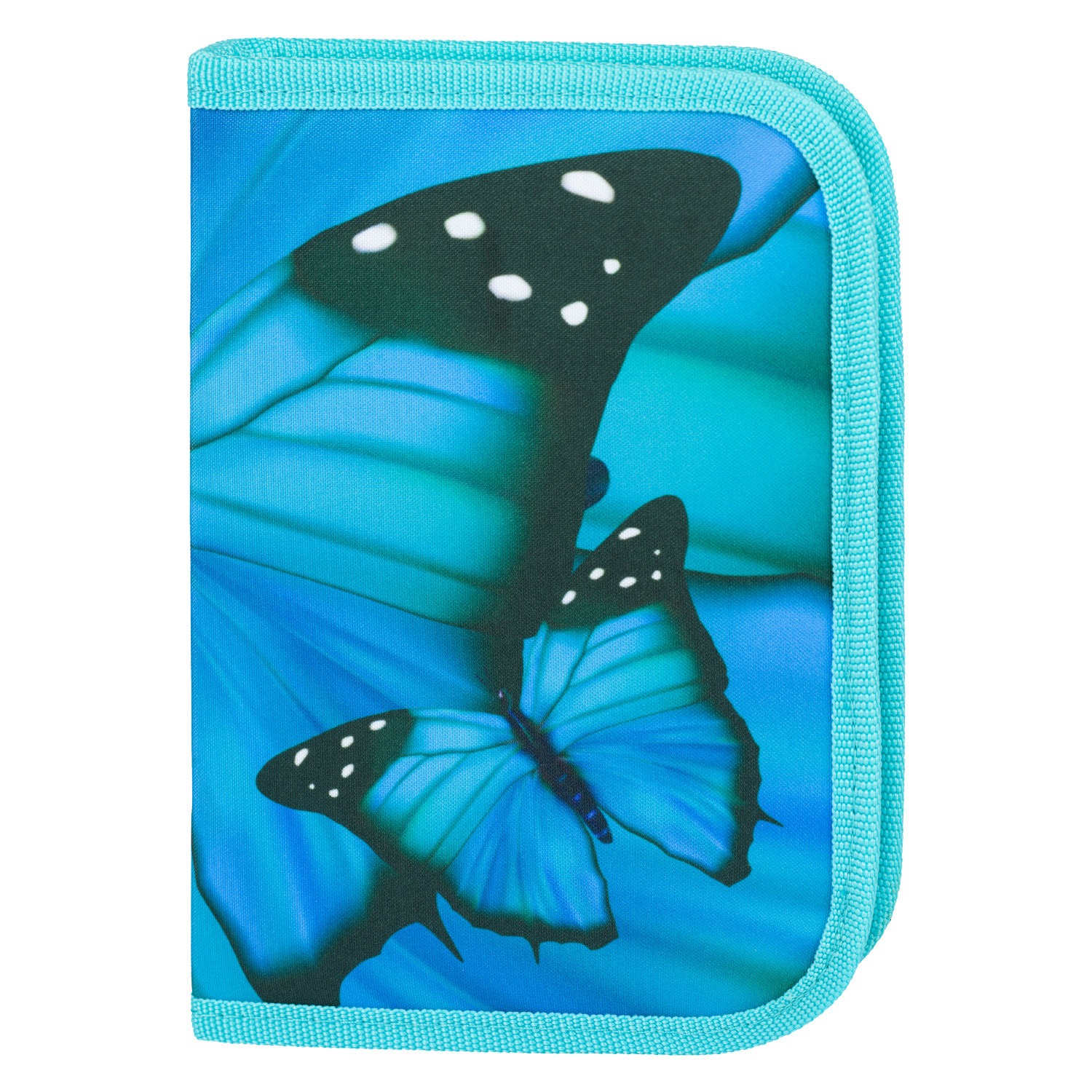 Školní penál jednopatrový BAAGL Butterfly